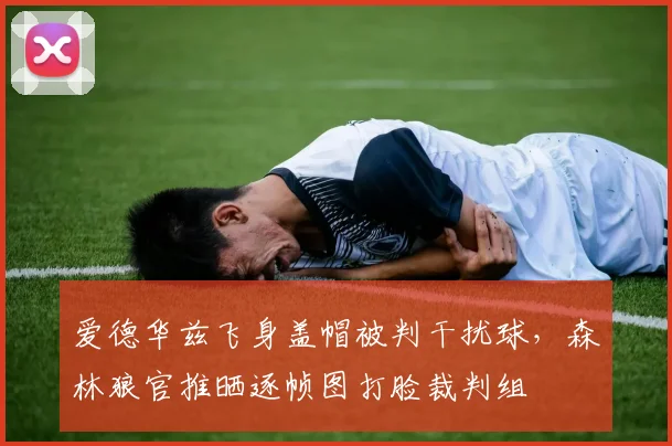 爱德华兹飞身盖帽被判干扰球，森林狼官推晒逐帧图打脸裁判组